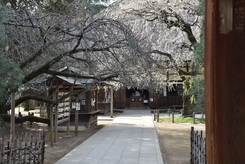茂林寺