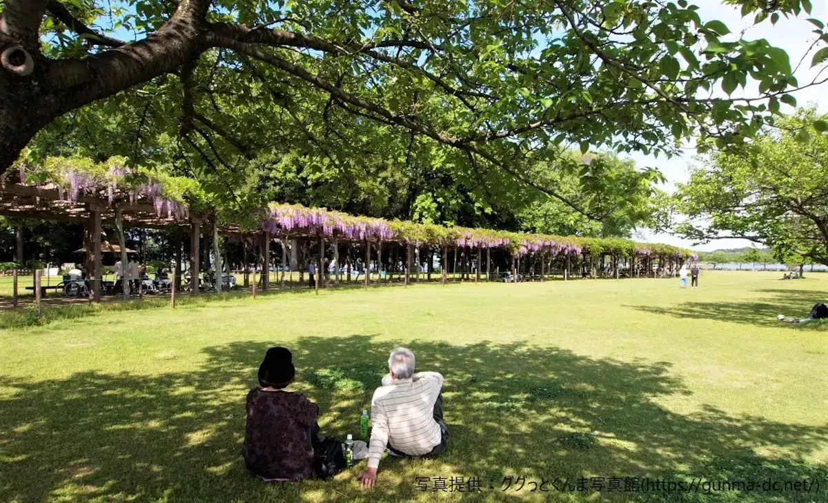 多々良沼（写真 2）