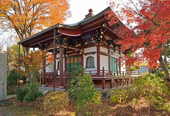 山門前の並木が美しい紅葉の名所！
