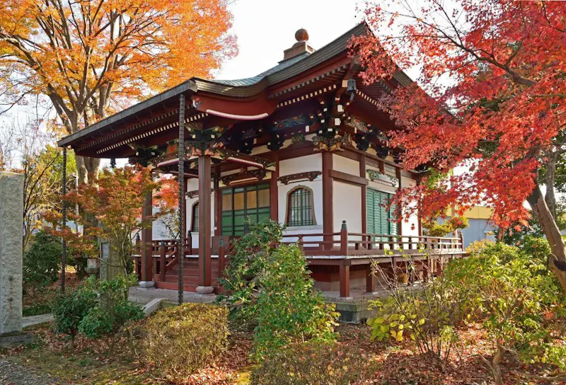 善導寺