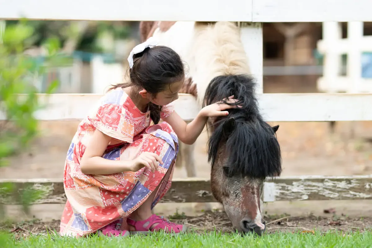 わくわくファーム前森高原(写真 3)