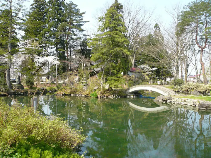 桜の美しさに酔いしれる