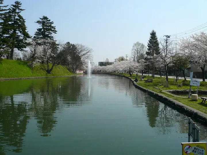 公園内をウォーキング