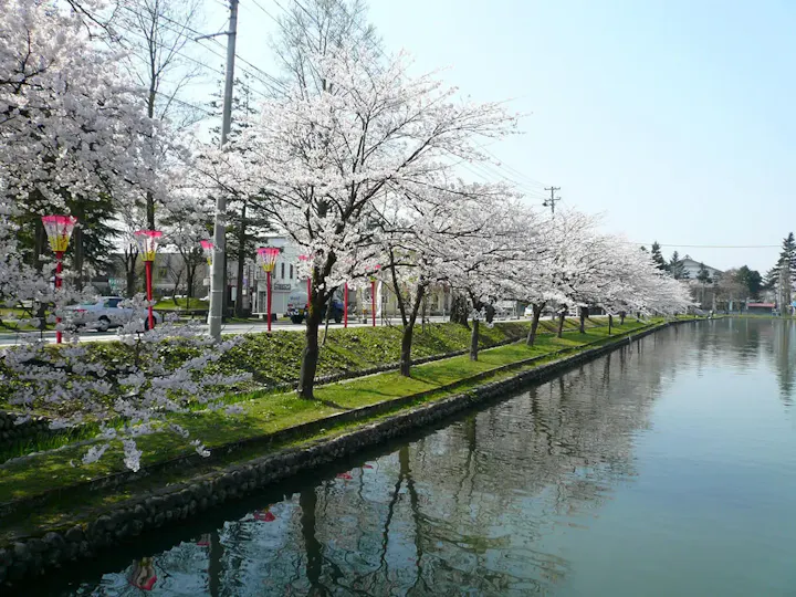 桜の名所としても有名な戸澤神社