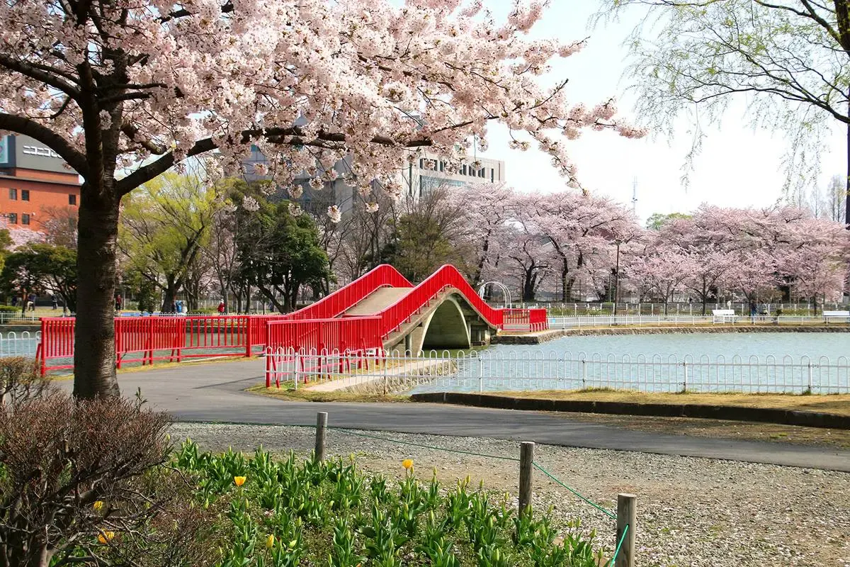 開成山公園(写真 5)