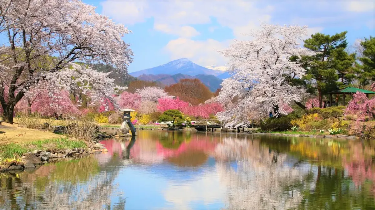 四季の里　緑水苑（写真 4）