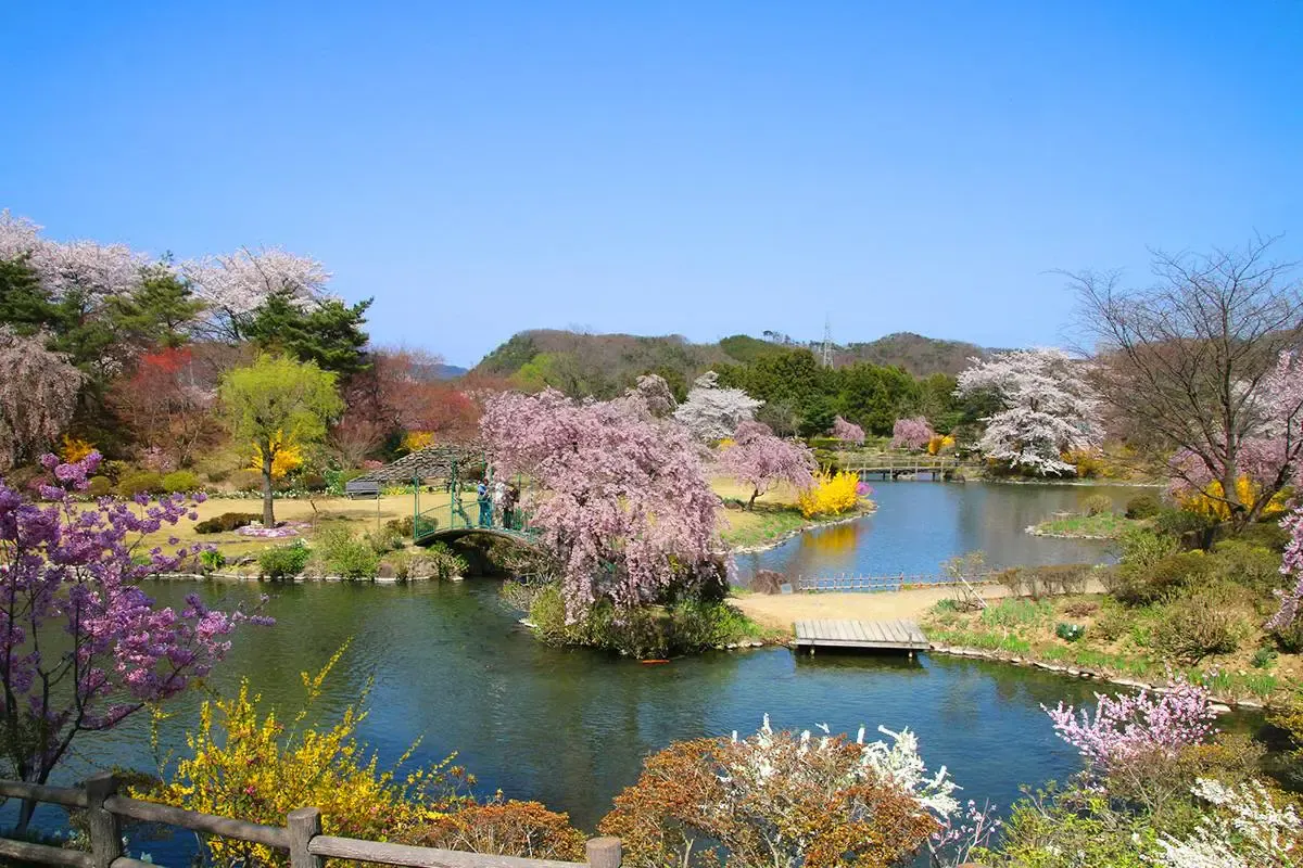 四季の里　緑水苑（写真 5）