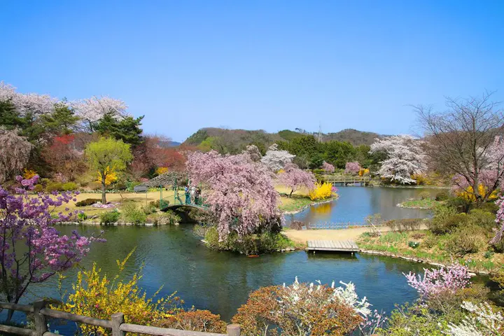 四季を通して花々鑑賞が楽しめる！