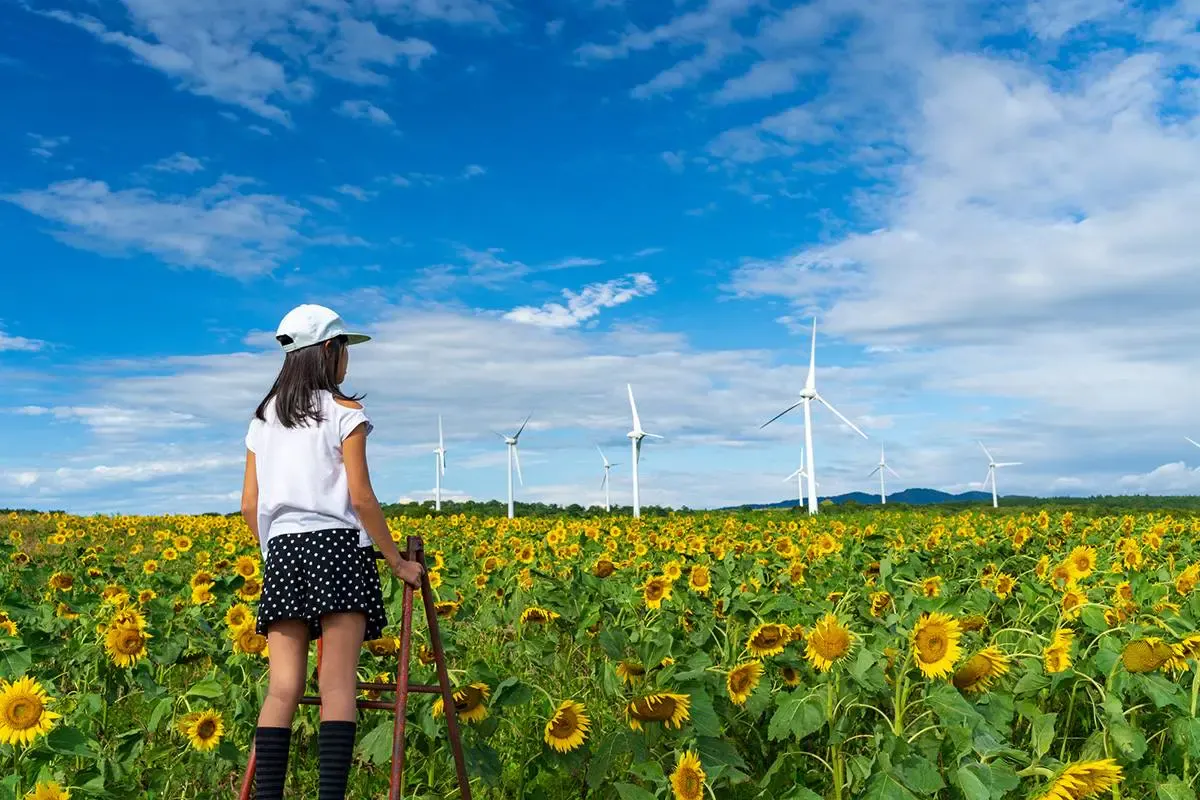 布引高原（写真 4）