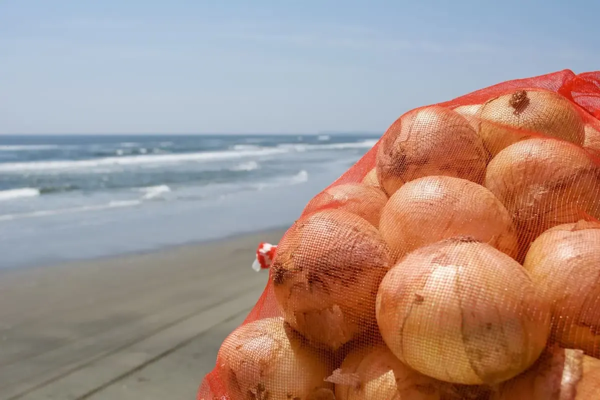 白子温泉（写真 6）