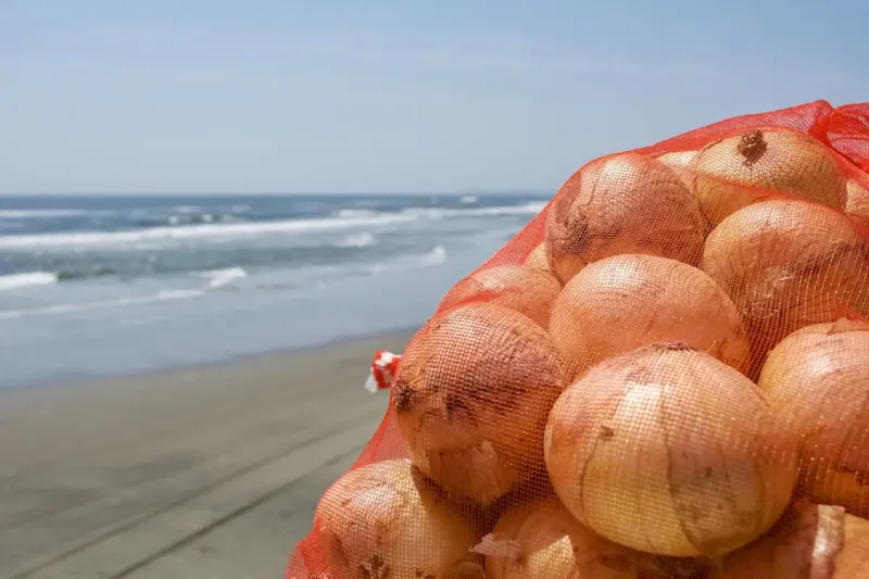白子温泉