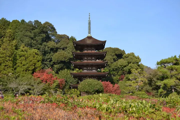 国宝五重塔の仕組みに驚かされる