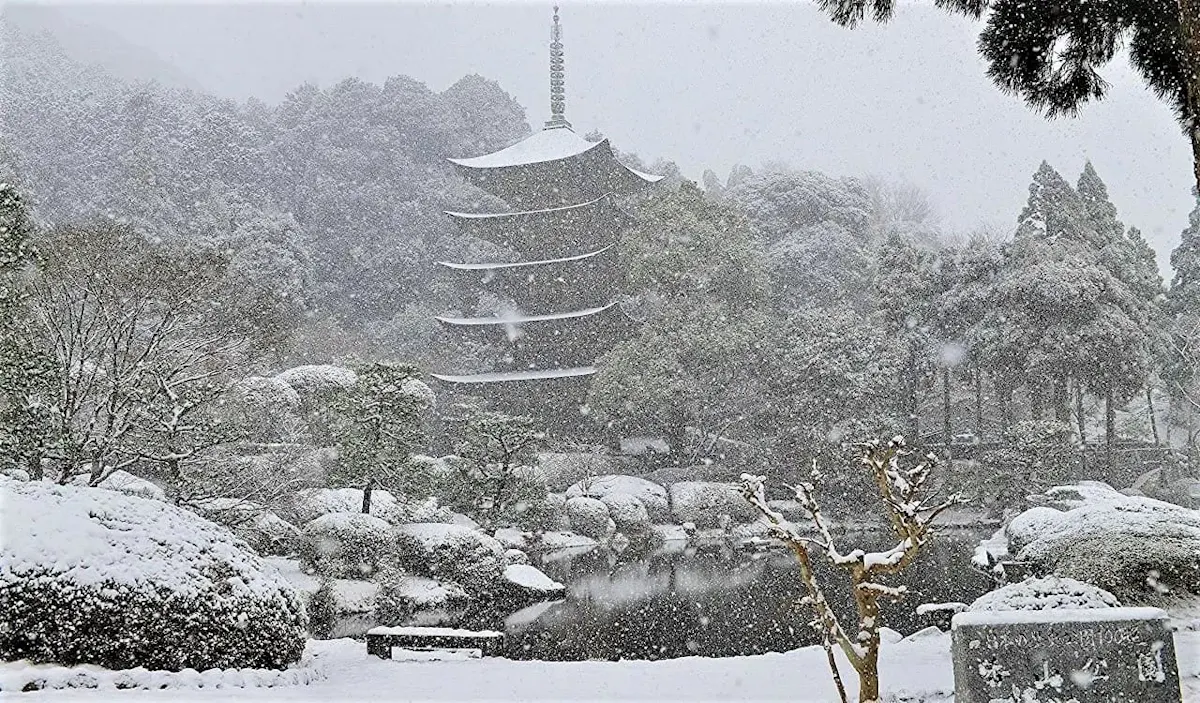 瑠璃光寺五重塔(写真 6)