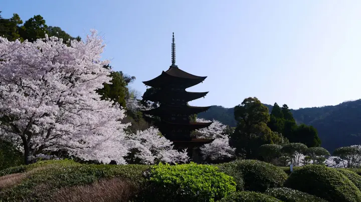四季折々の景観を楽しもう