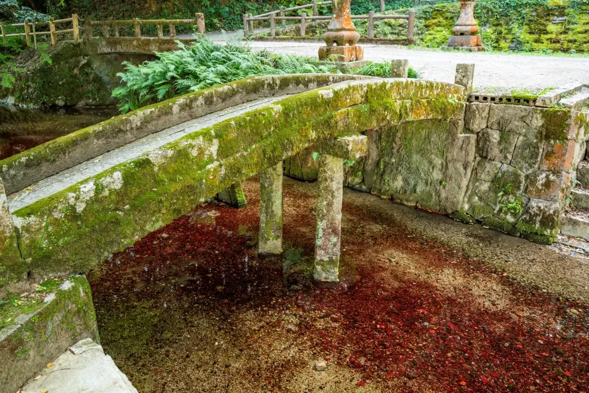 別府弁天池(写真 5)