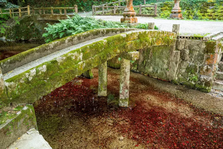 赤色の石と青色の池のコントラストを楽しむ