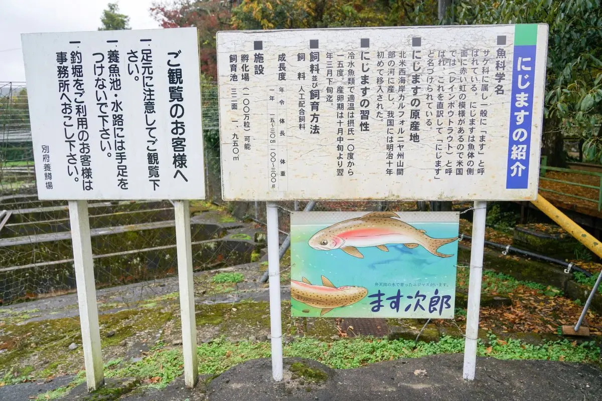 別府弁天池(写真 6)