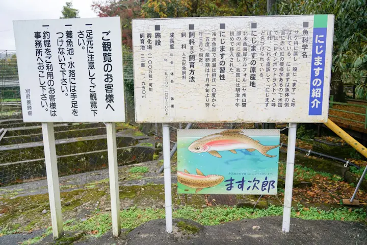 ニジマス釣りを体験
