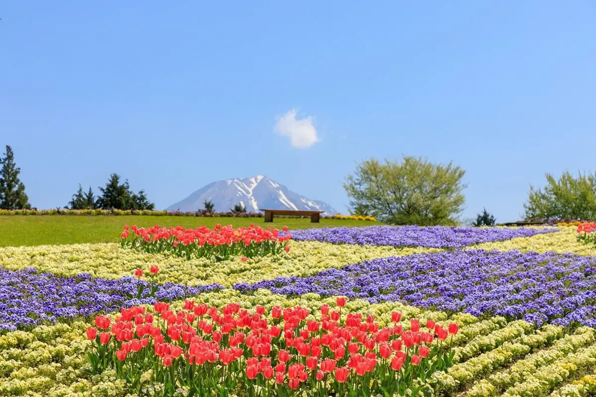 鳥取県立フラワーパークとっとり花回廊