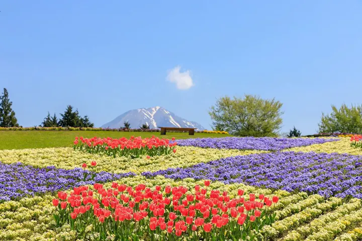花々が咲き誇る日本最大級のフラワーパーク