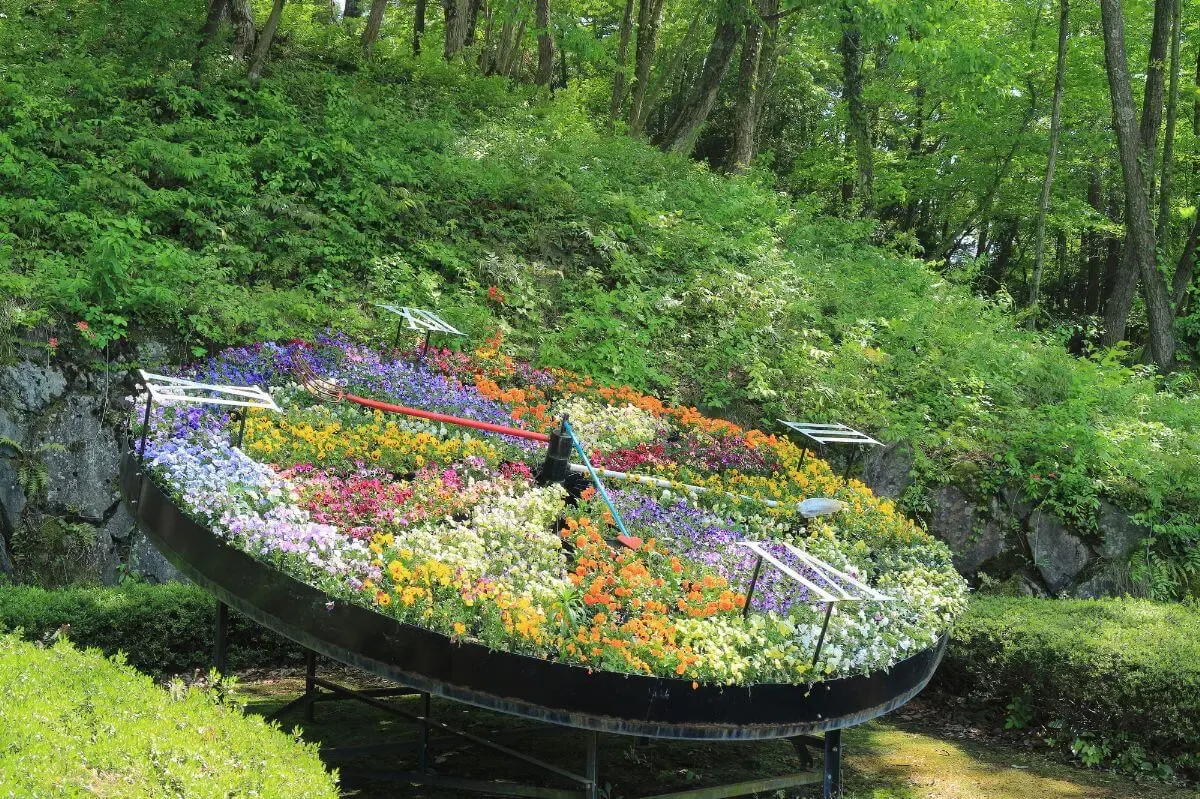 鳥取県立フラワーパークとっとり花回廊（写真 4）