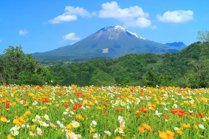 花回廊から眺められる大山の雄大な姿！
