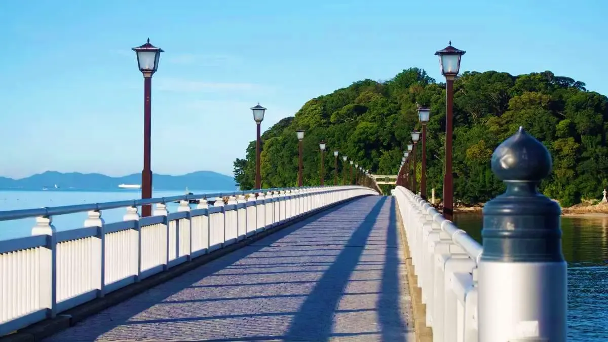 竹島(写真 4)