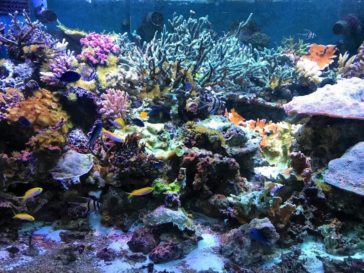 蒲郡市竹島水族館（写真 2）
