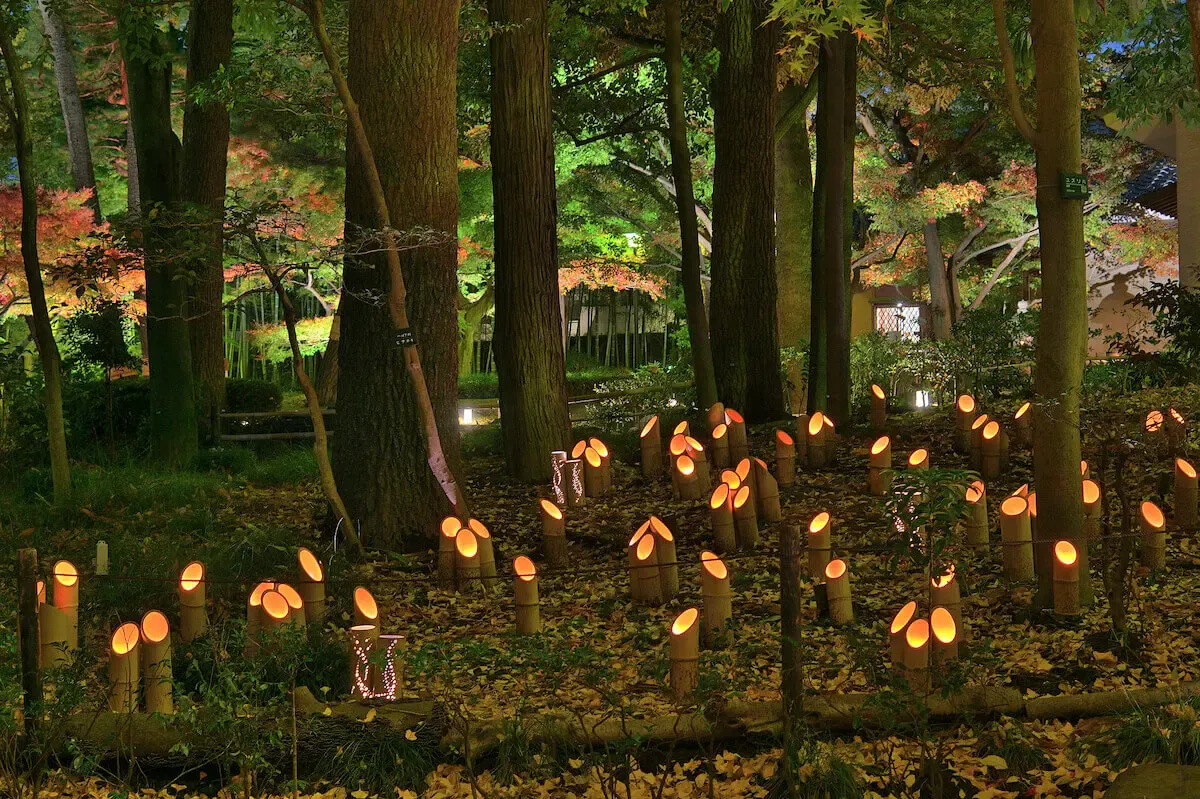 大田黒公園(写真 4)
