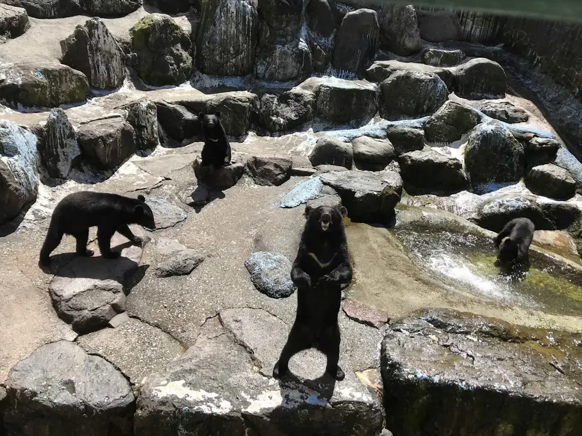 奥飛騨クマ牧場