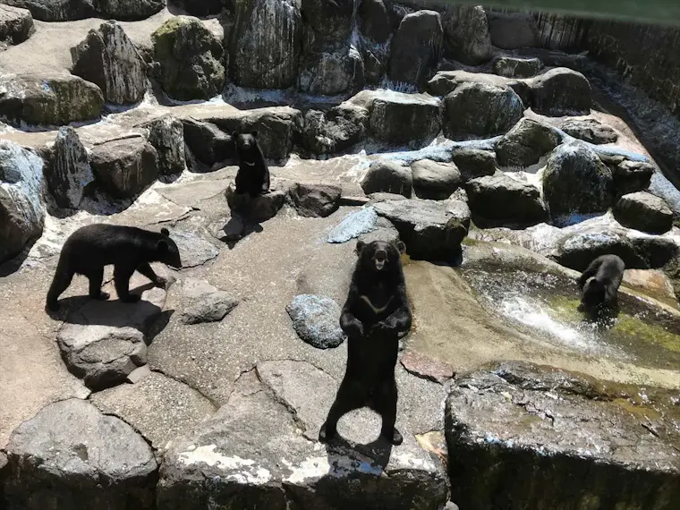 奥飛騨クマ牧場