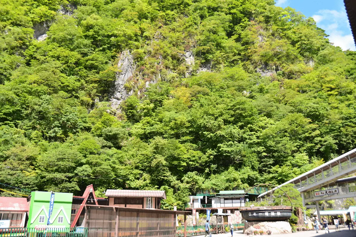 飛騨大鍾乳洞(写真 5)