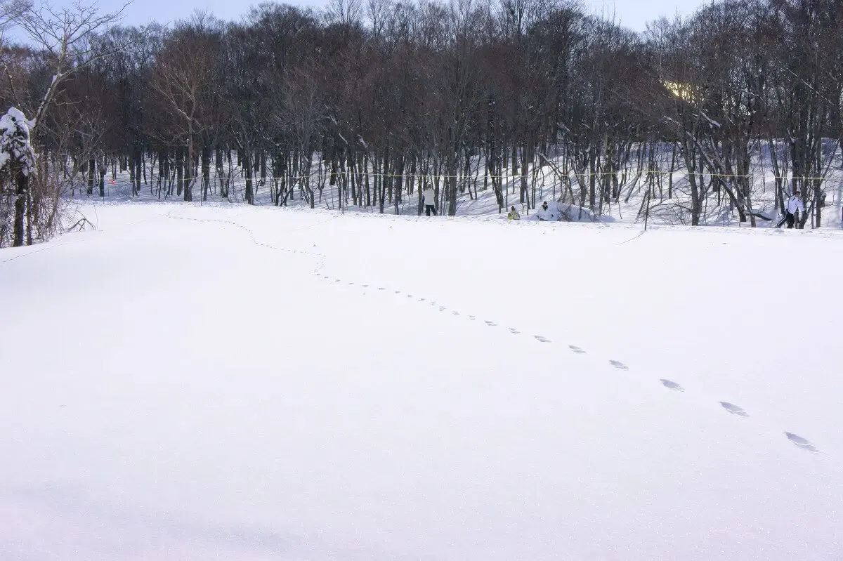 たんばらスキーパーク(写真 2)