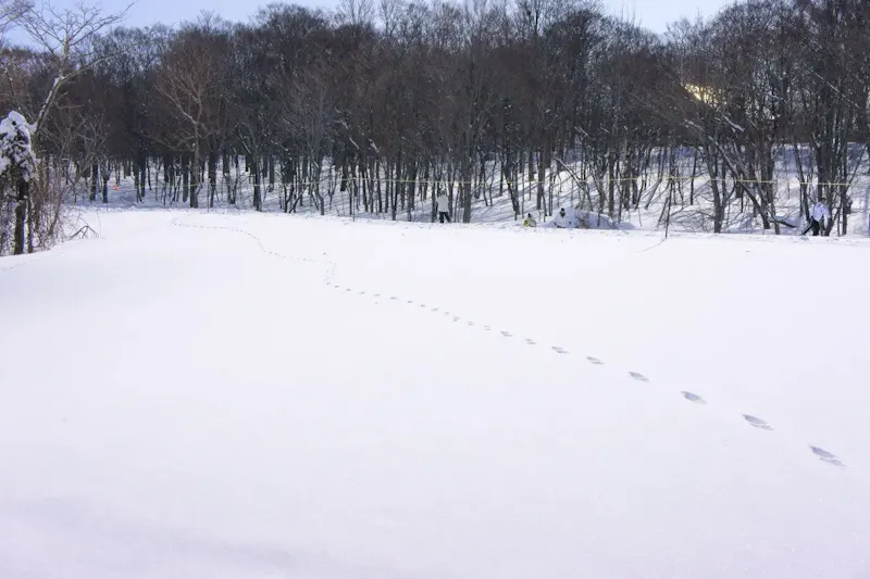たんばらスキーパーク