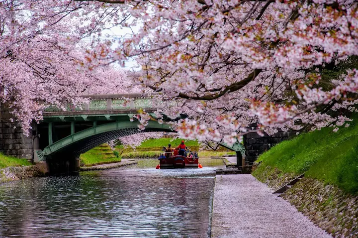 桜・紅葉が映える松川