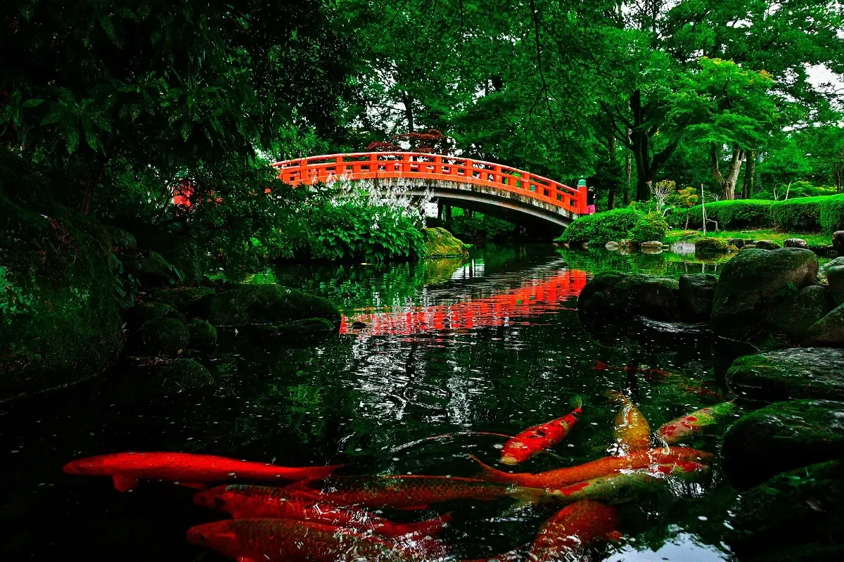 富山城(写真 5)