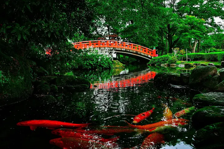 お城を中心に据えた緑豊かな公園