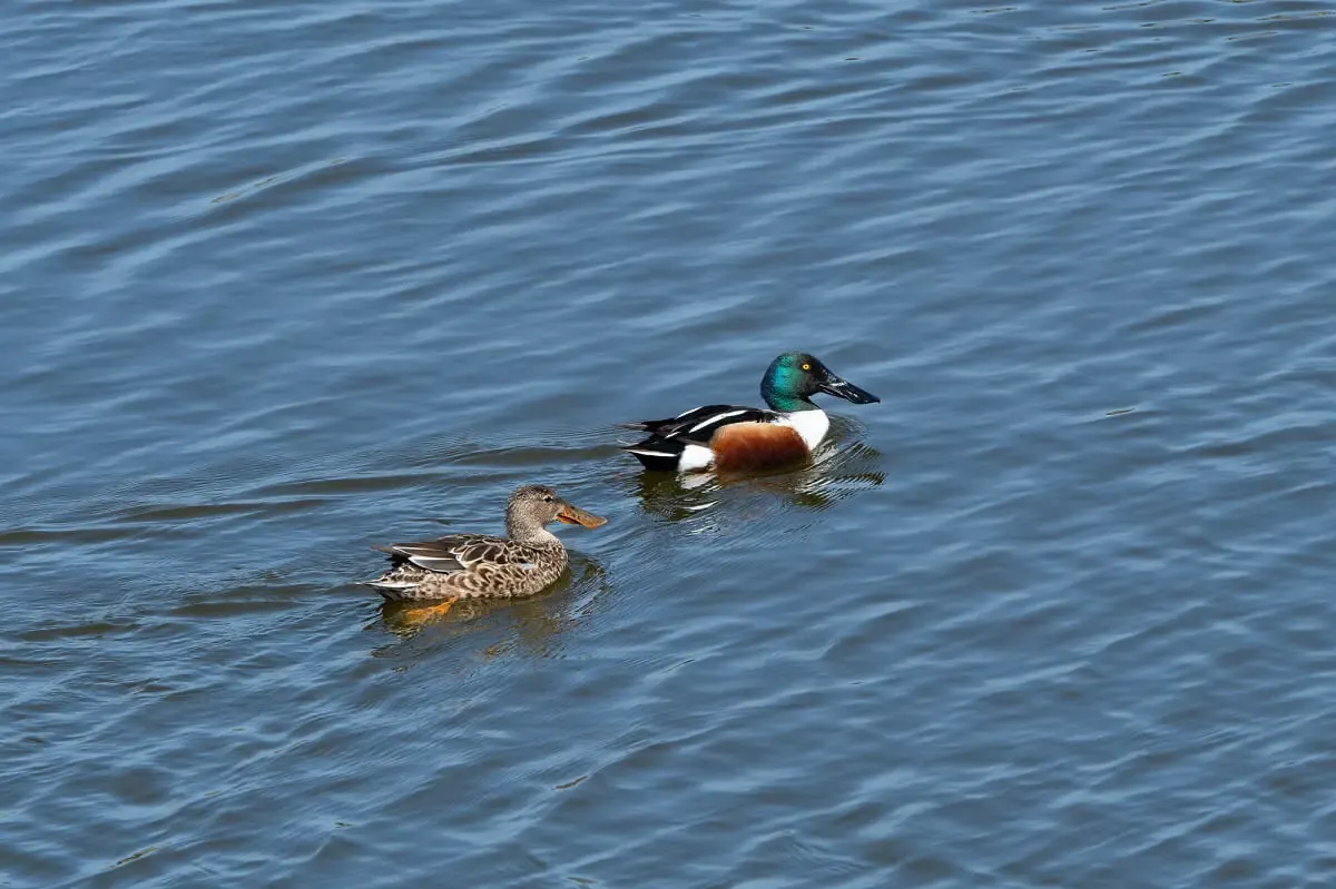 富岩運河環水公園(写真 6)