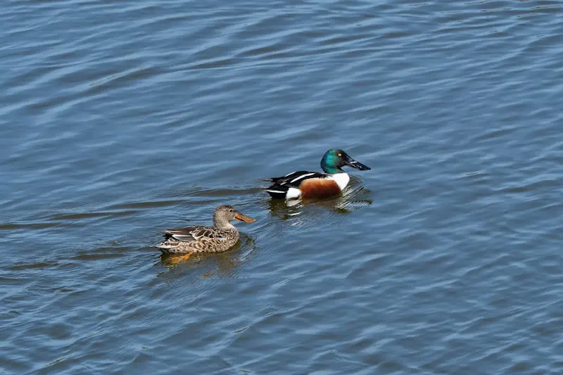 富岩運河環水公園