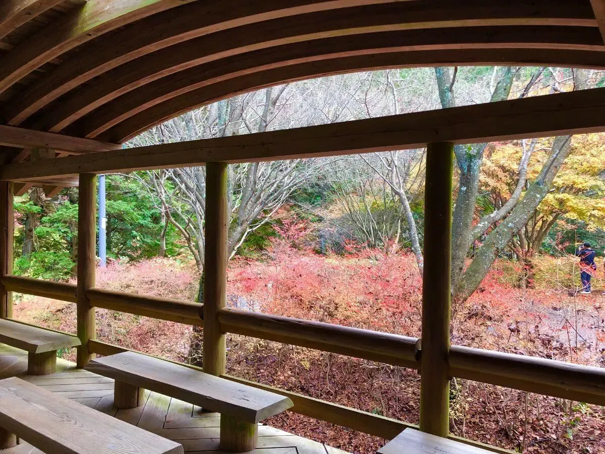 鈍川温泉