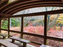 鈍川温泉