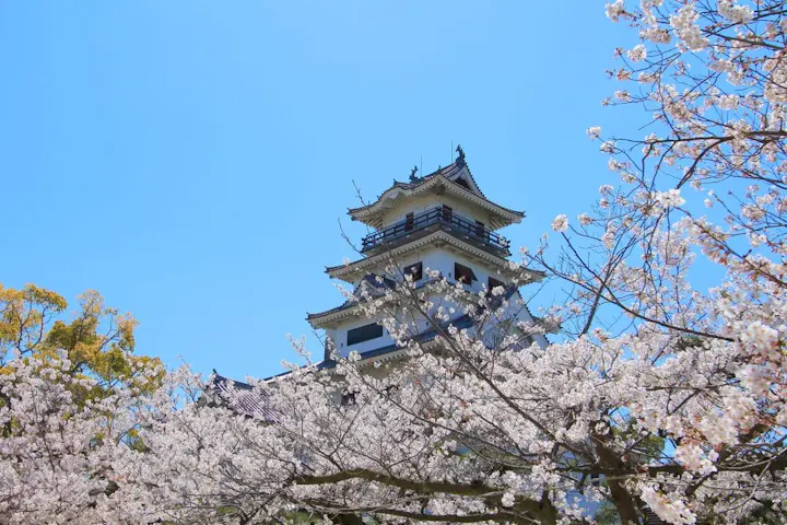 春は桜でお花見も楽しめる