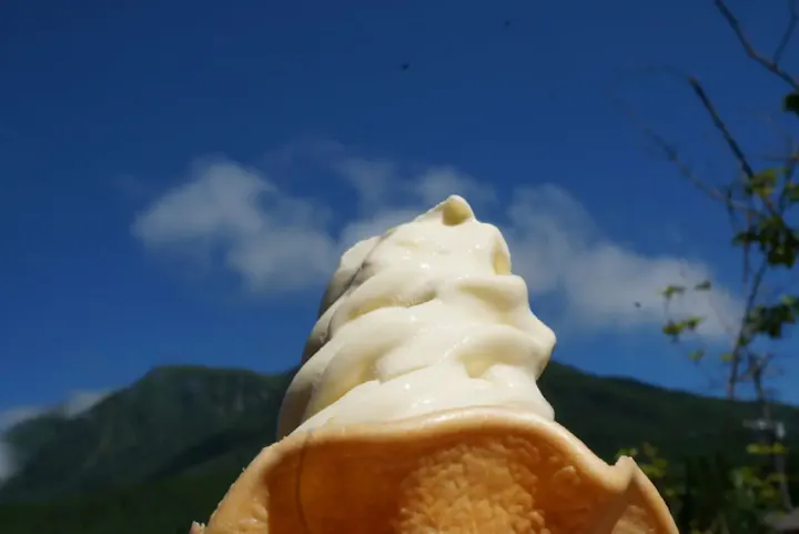 名物のジャージー牛乳ソフトを楽しむ！