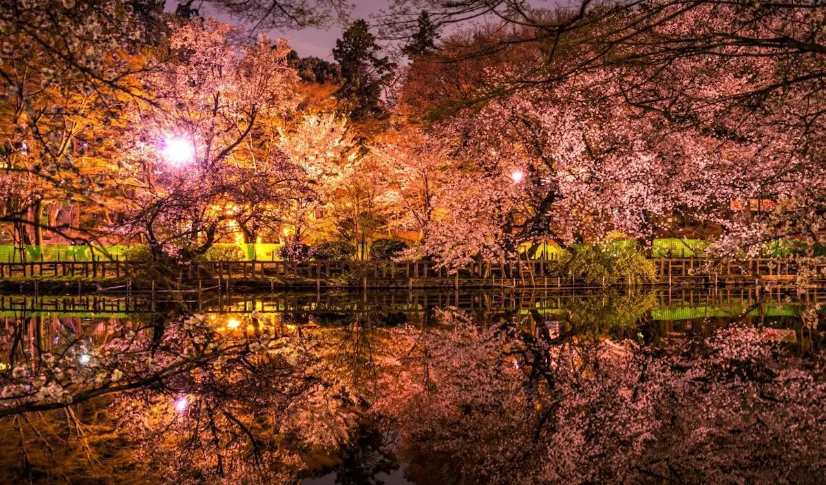 井の頭恩賜公園（写真 4）