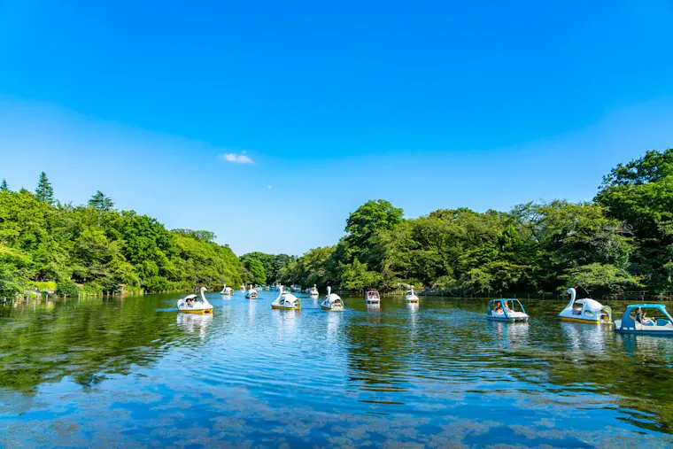 井の頭恩賜公園