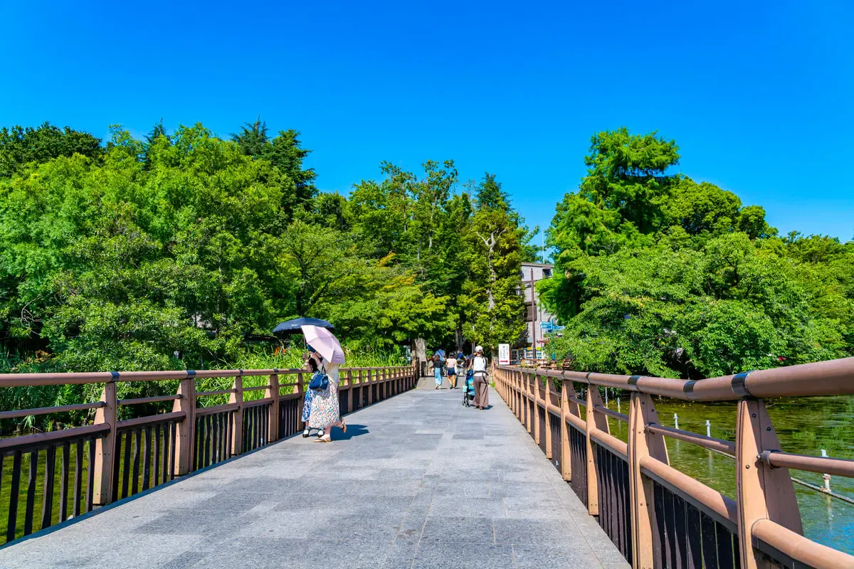 井の頭恩賜公園（写真 2）