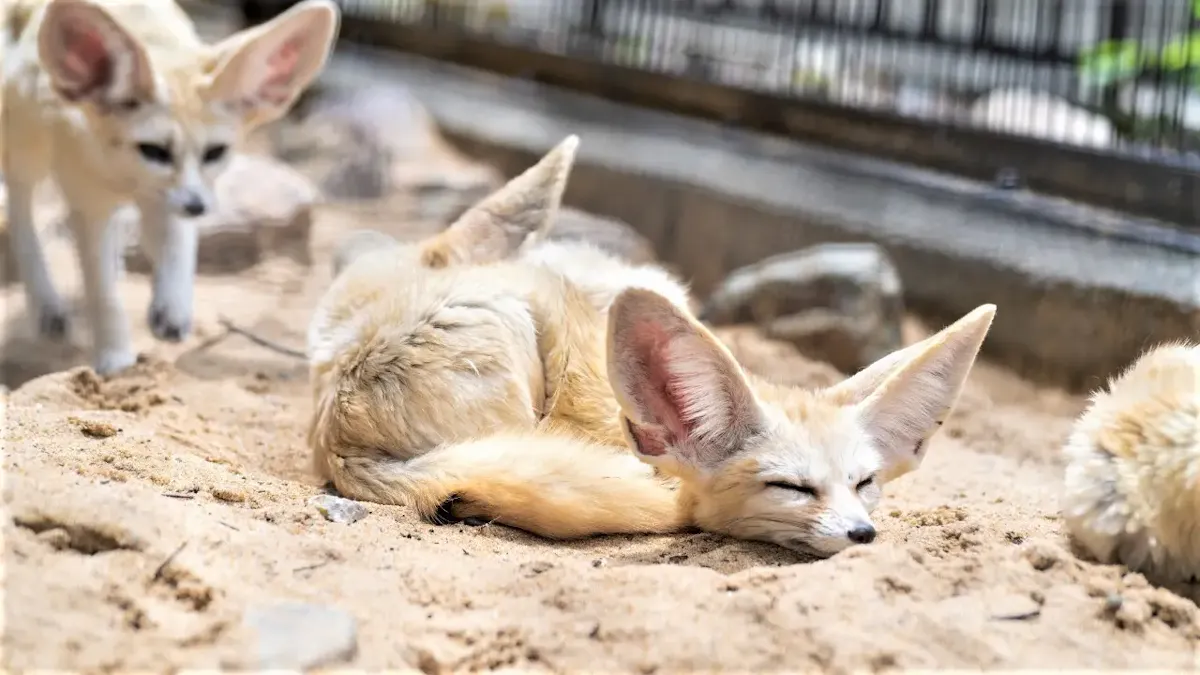 井の頭自然文化園（写真 3）