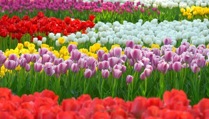 都心の公園で四季折々のイベントを楽しむ
