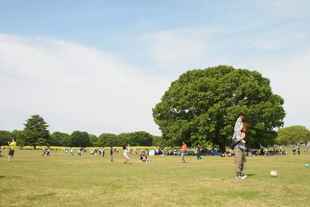 昭和記念公園(写真 2)