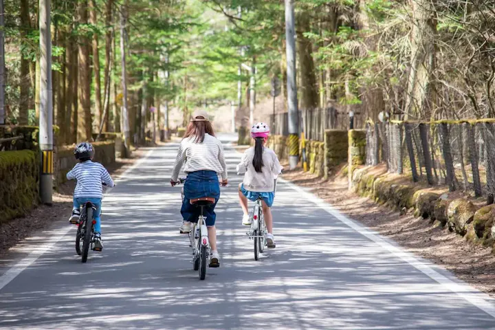 公園散策ならレンタサイクル